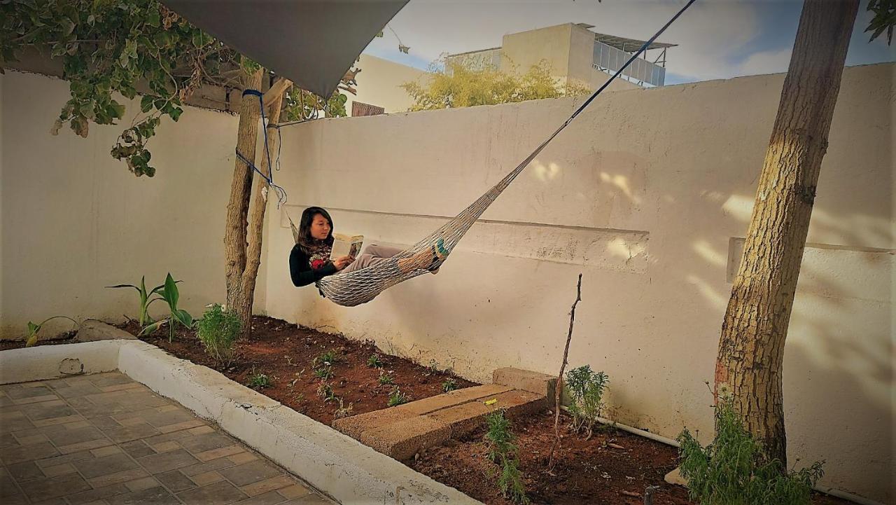بيت شباب Mango Haus العقبة المظهر الخارجي الصورة